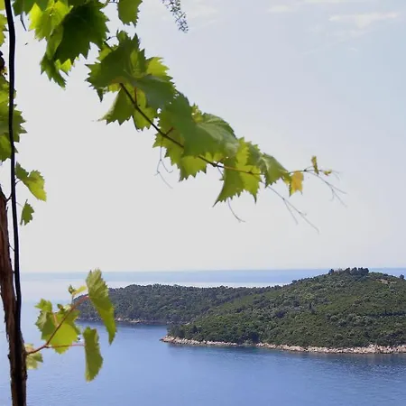 아파트 Exclusive Old Town And Sea View